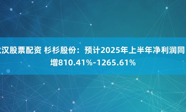 武汉股票配资 杉杉股份：预计2025年上半年净利润同比增810.41%-1265.61%